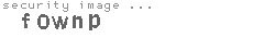 security image