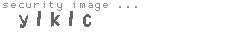 security image