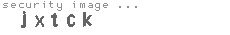 security image