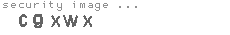 security image
