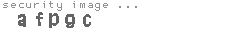 security image