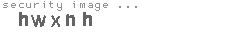 security image