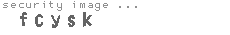 security image