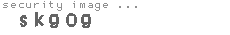 security image