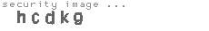 security image