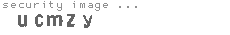 security image