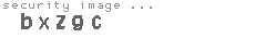 security image