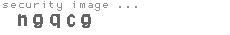 security image