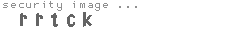 security image
