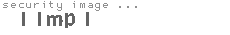 security image