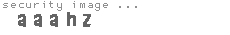 security image