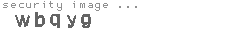 security image