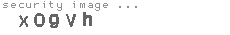 security image