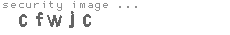 security image