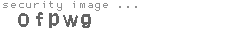 security image