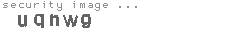 security image