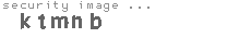 security image