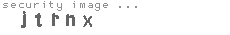 security image