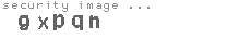 security image