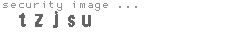 security image