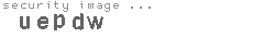 security image