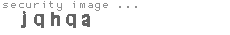 security image