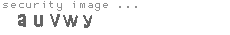 security image