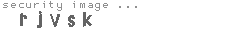security image