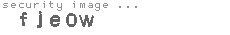 security image