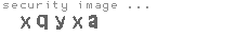 security image