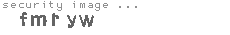 security image