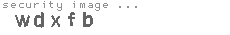 security image