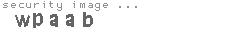 security image