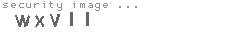 security image