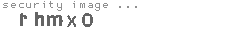 security image