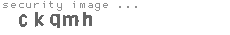 security image