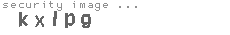 security image
