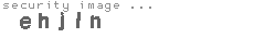 security image