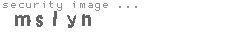 security image