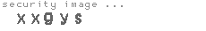 security image