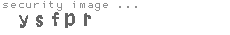 security image