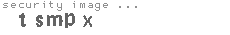 security image