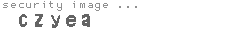 security image