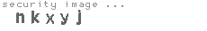 security image
