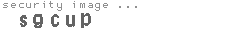 security image