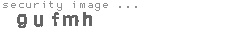 security image