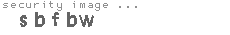 security image