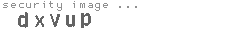 security image
