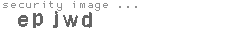 security image