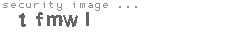 security image
